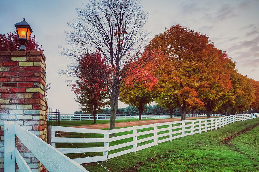 Autumn Ranch Photograph by Rebekah Zivicki