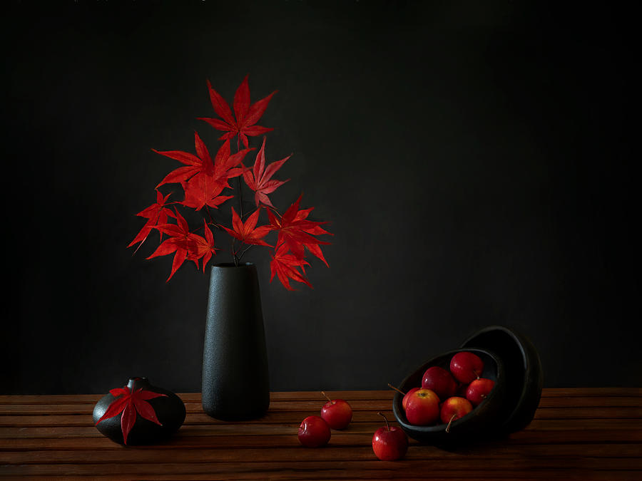 Autumn Red II Photograph by Wendy Xu