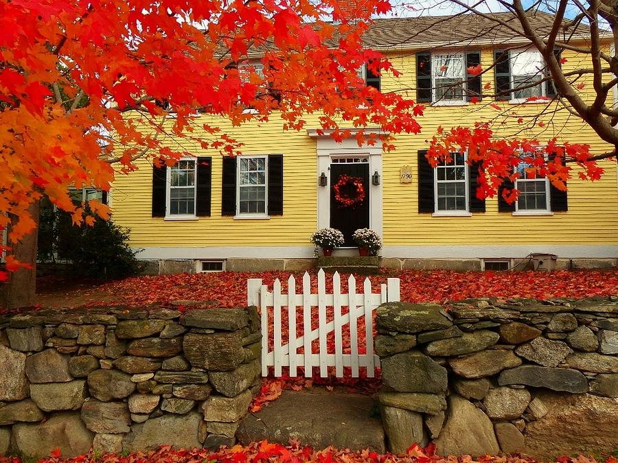 Autumn Reds Photograph by Elaine Franklin