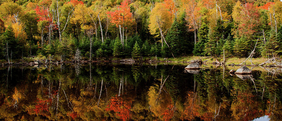 Autumn Reflection Adirondack National Photograph by Bob Pool
