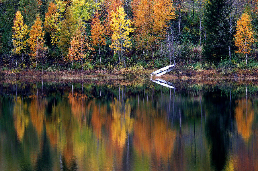 Autumn Reflection Photograph by Bror Johansson
