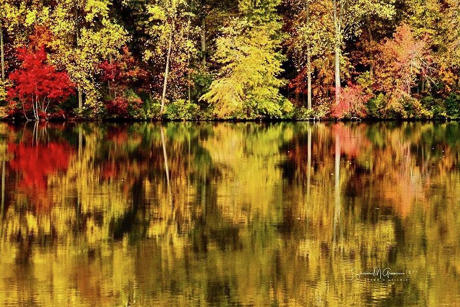 Autumn Reflection Photograph by Shawn M Greener
