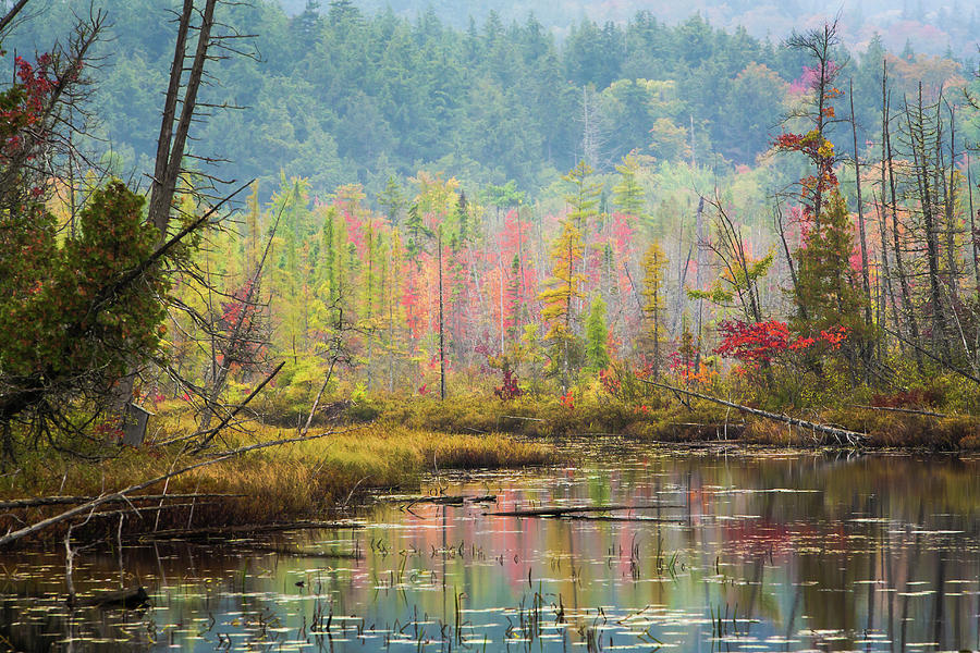 Autumn Reflections At  Adirondack Photograph by Bob Pool