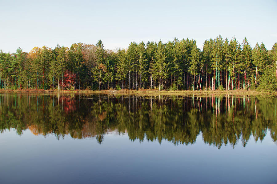 Autumn Reflections At State Forest In Pa Photograph by Lauradyoung