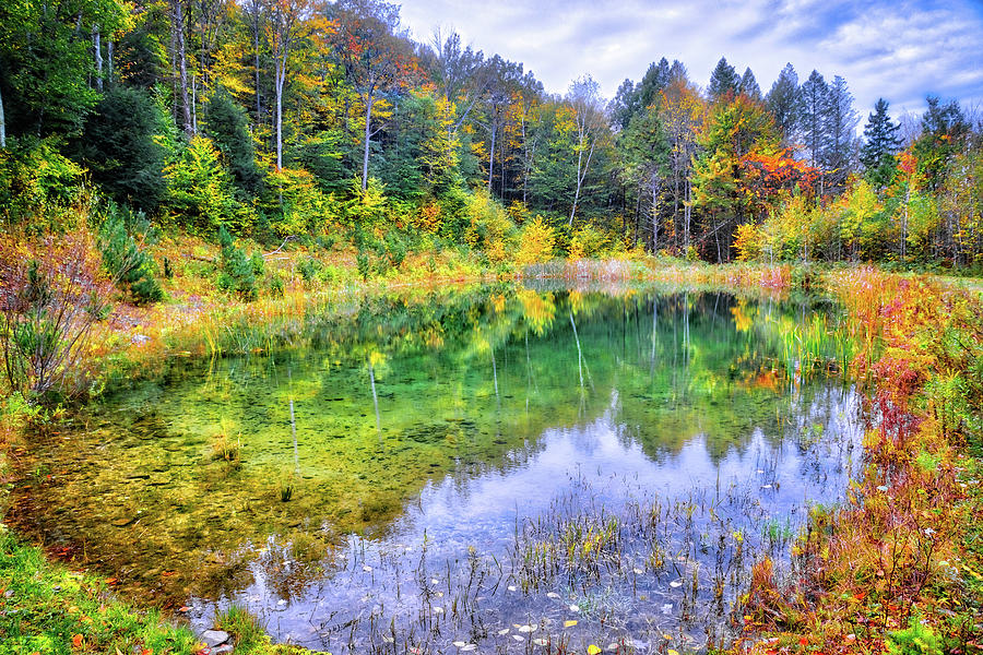 Autumn Reflections at the Pond II Photograph by Lynn Bauer