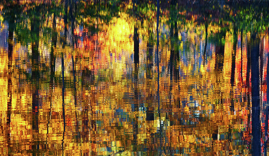 Autumn Reflections Photograph by Bill Chambers