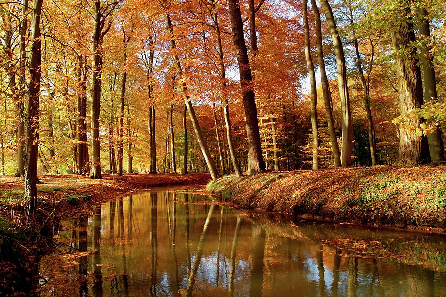 Autumn Reflections Photograph by Bob Van Den Berg Photography
