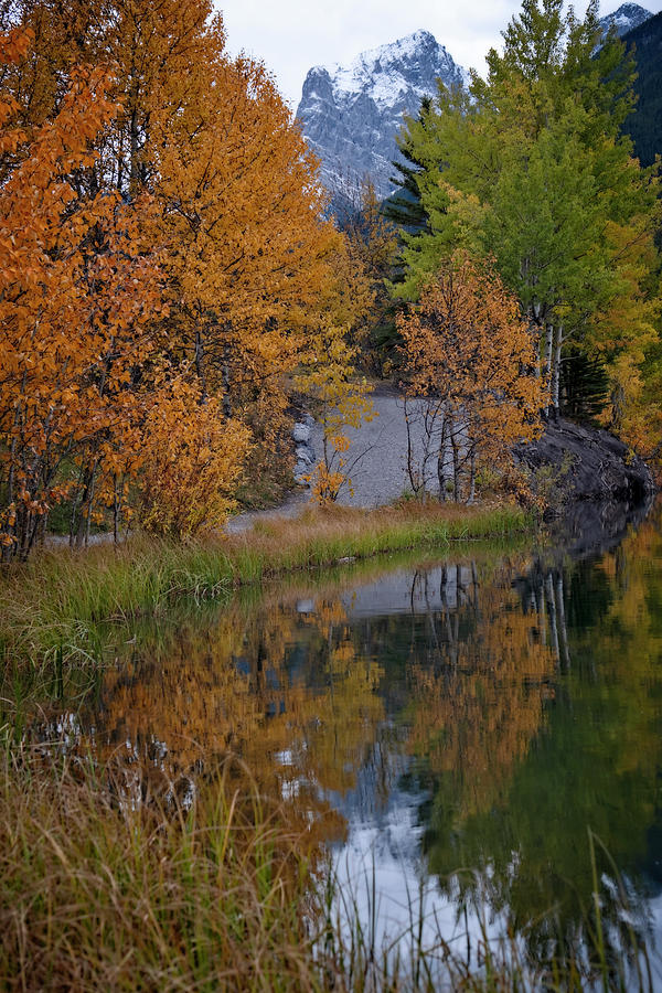 Autumn Reflections Photograph by Catherine Reading