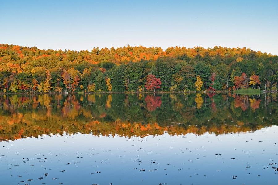 Autumn Reflections Photograph by Chris Washburn | Fine Art America