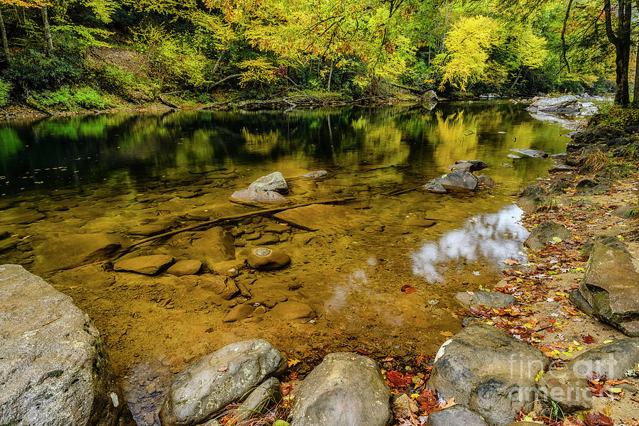 Autumn Reflections Cranberry River Photograph by Thomas R Fletcher