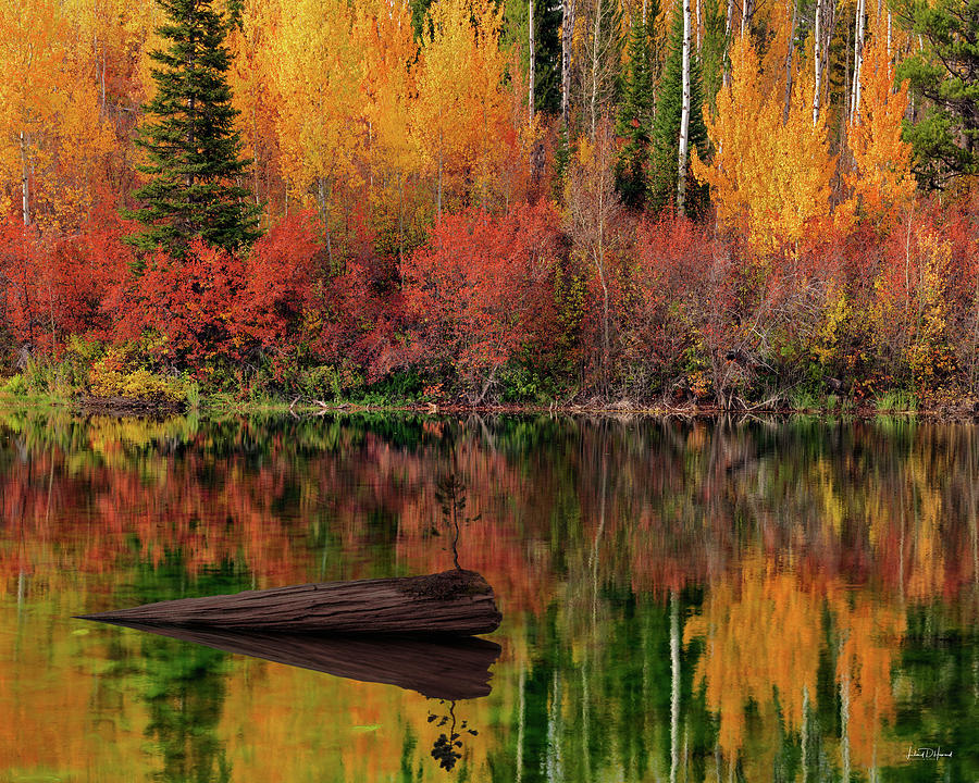 Autumn Reflections Photograph by Leland D Howard