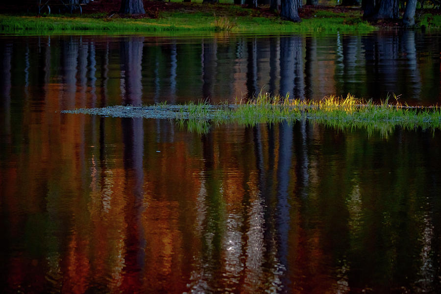 Autumn Reflections Photograph by Linda Unger