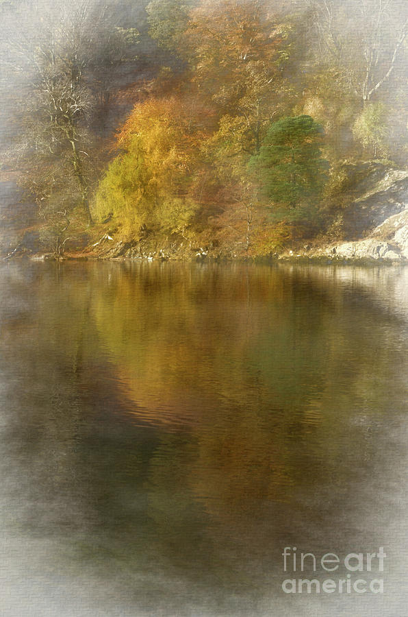 Autumn Reflections Mixed Media by Linsey Williams