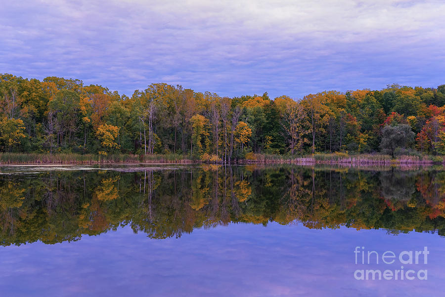 Autumn Reflections Of Maybury Photograph