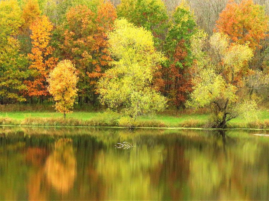 Autumn Reflections On A Pond  Photograph by Lori Frisch