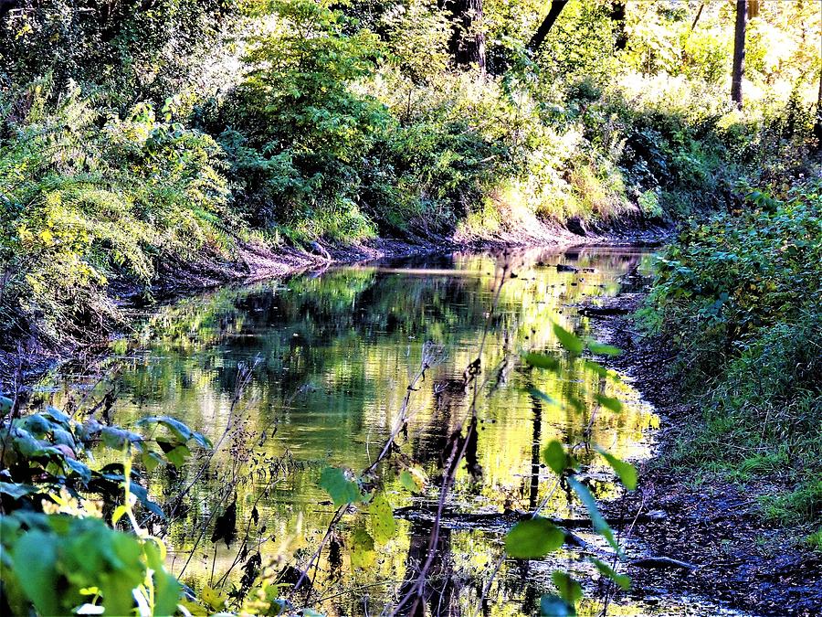 Autumn Reflections On The Creek Photograph