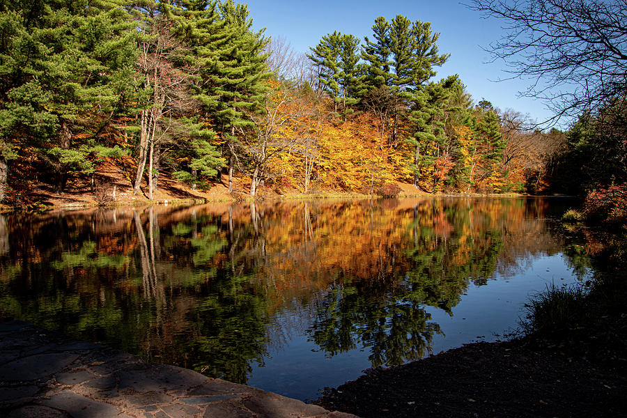Autumn Reflections Photograph by Rose Guinther