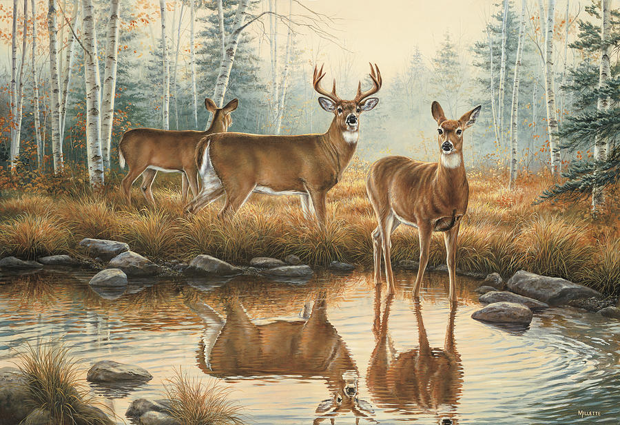 Wildlife Painting - Autumn Reflections by Wild Wings
