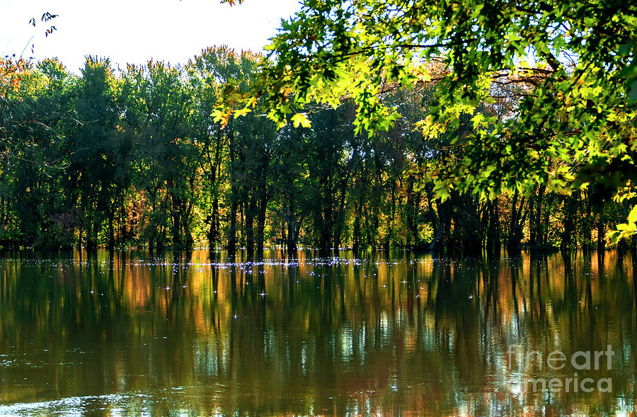 Autumn Reflections Photograph by Sandra Js