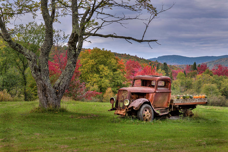 Autumn Relic Photograph by Bill Wakeley