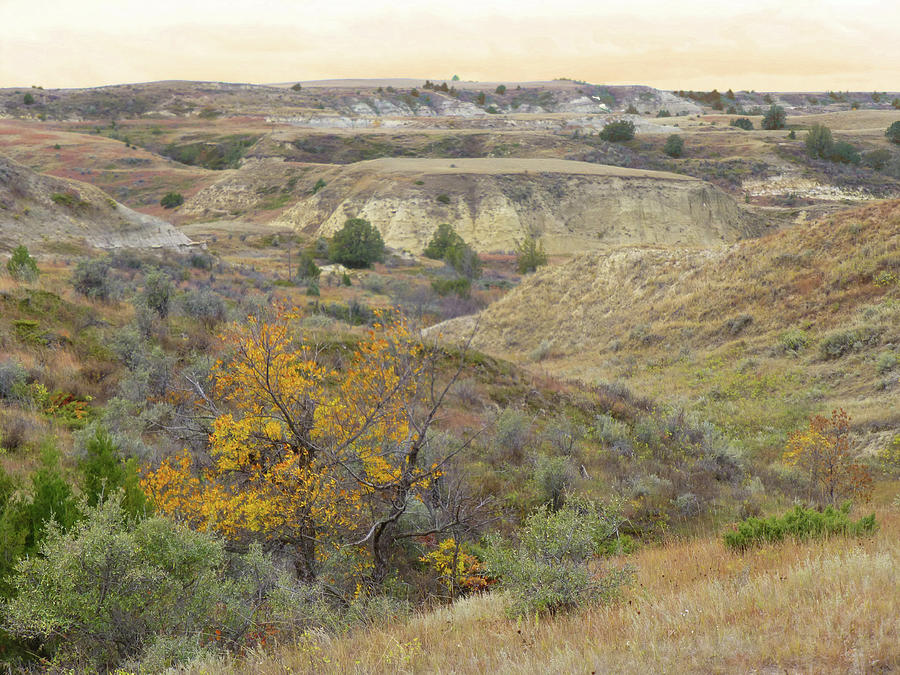 Autumn Reverie in Slope County Photograph by Cris Fulton