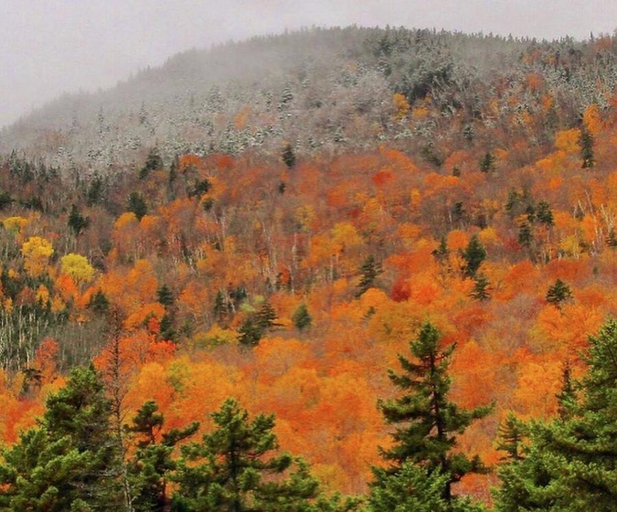 Autumn Ridge  Photograph by Sue Hallett
