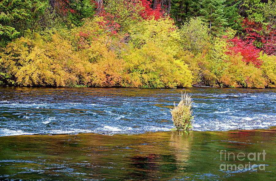 Autumn River Photograph by David Millenheft