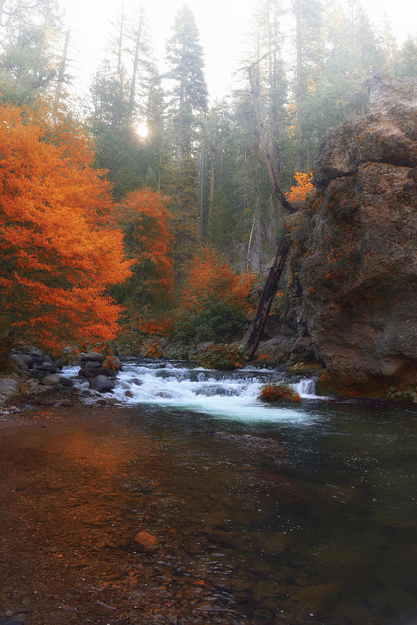 Autumn River Photograph by Frank Wilson