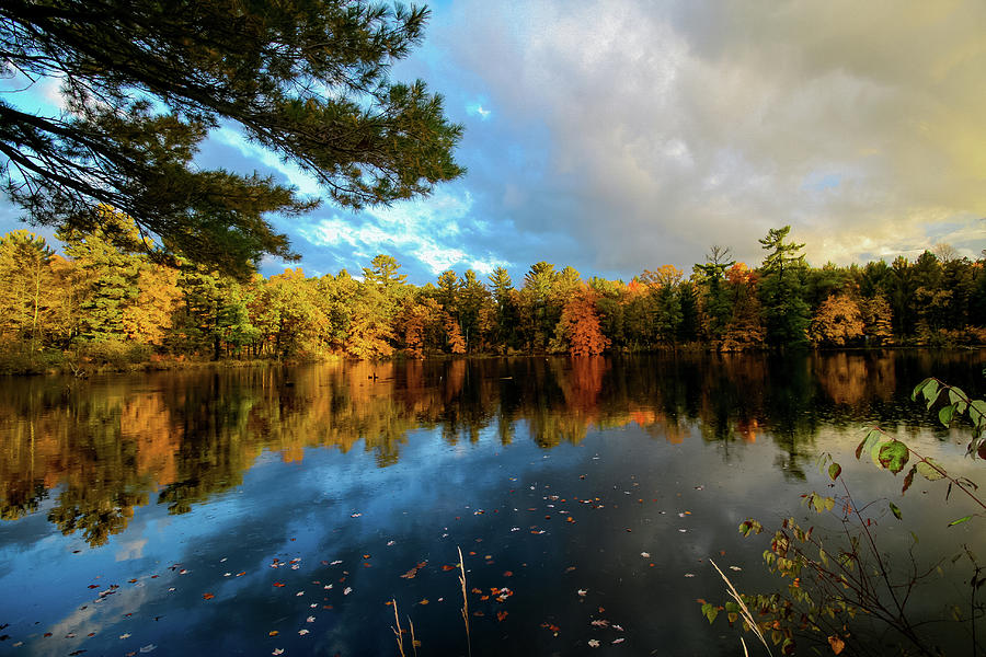 Autumn River Photograph by Neal Nealis