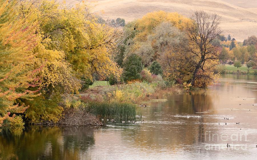 Autumn River Retreat Photograph by Carol Groenen