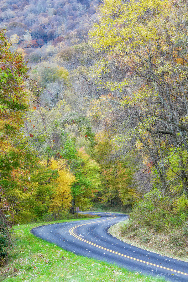 Autumn Road 2 Photograph by Nunweiler Photography