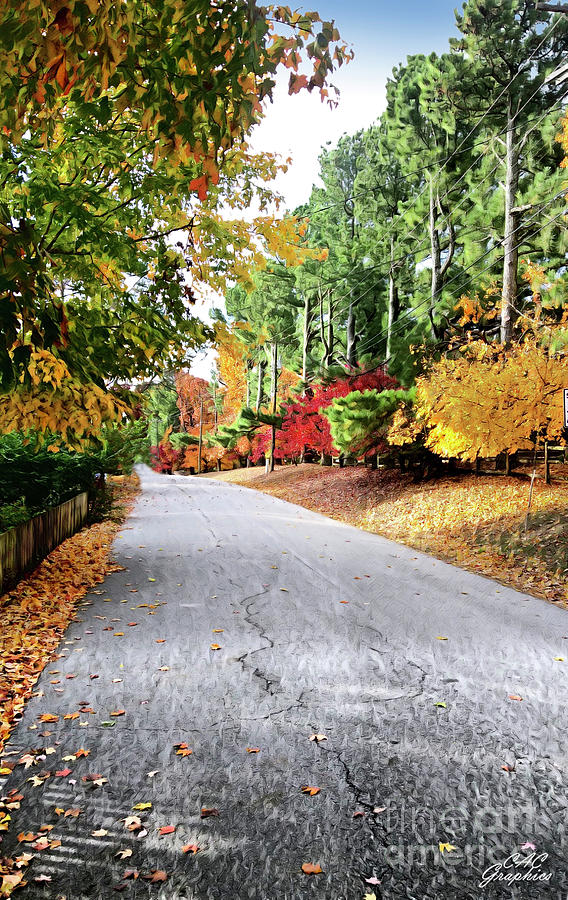 Fall Digital Art - Autumn Road  by CAC Graphics