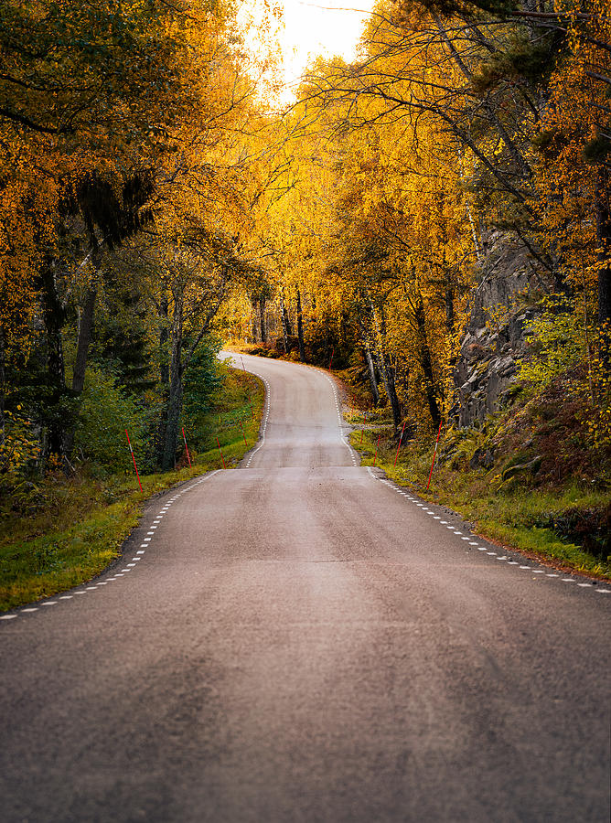 Autumn Road Photograph by Christian Lindsten