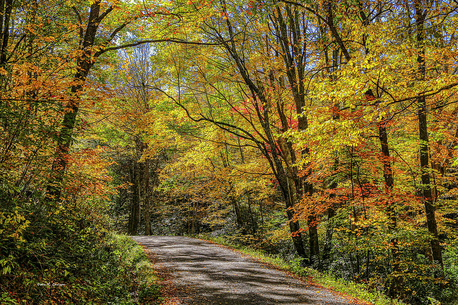 Autumn Road Photograph by Dale R Carlson