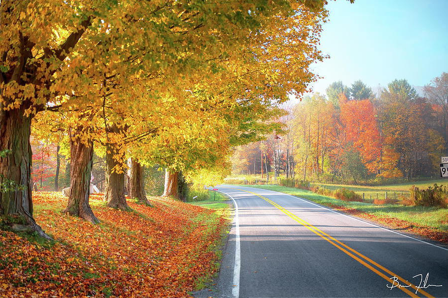 Autumn Road Photograph by Fivefishcreative - Fine Art America