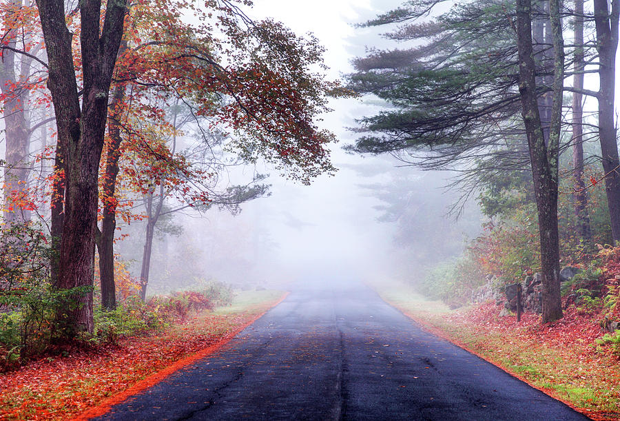 Autumn Road In The Quabbin Reservoir Photograph by Denistangneyjr