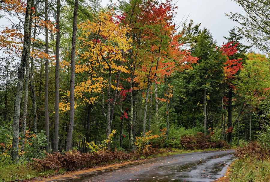 Autumn Road Photograph by Jody Partin
