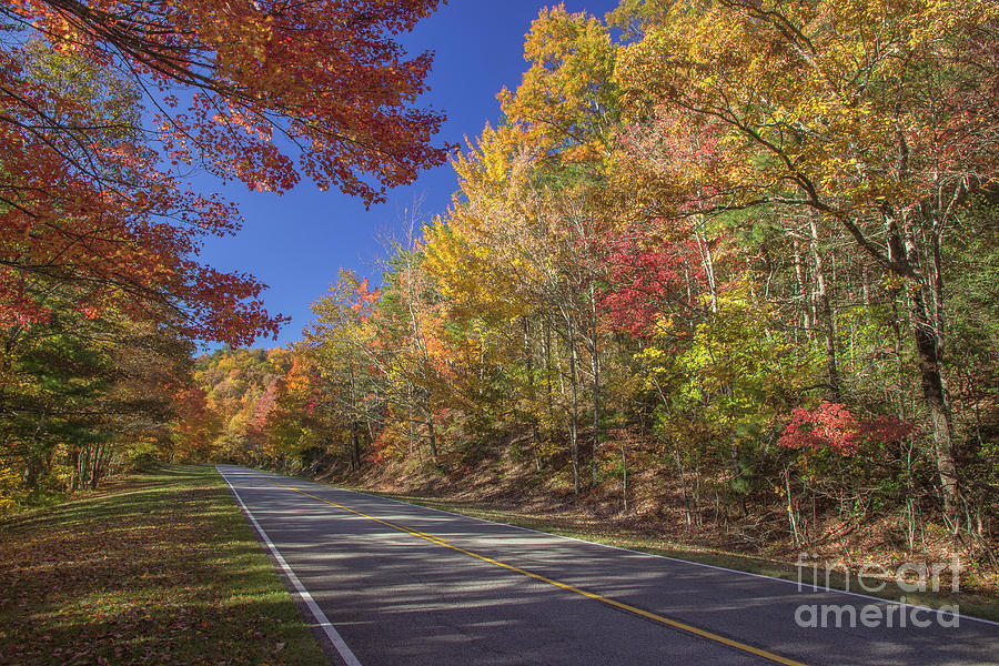 Autumn Road Trip Photograph by Mike Eingle