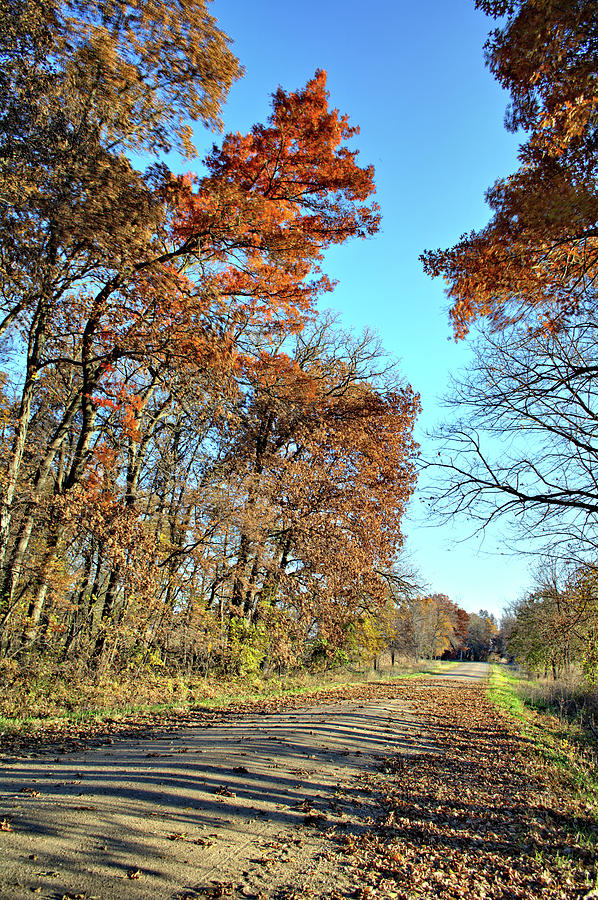 Autumn Roads Photograph by Bonfire Photography