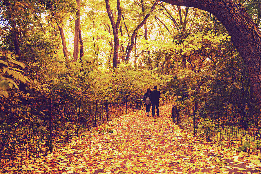 Autumn Romance - New York City Photograph