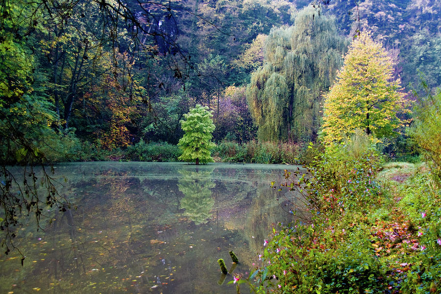 Autumn Romance Pond Photograph by Justfordream