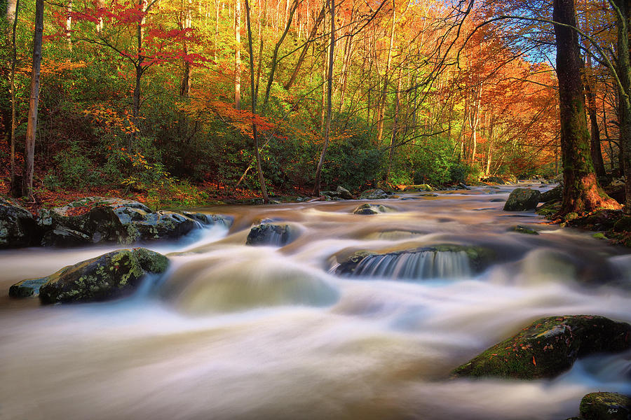 Autumn Rush Photograph by Greg Norrell