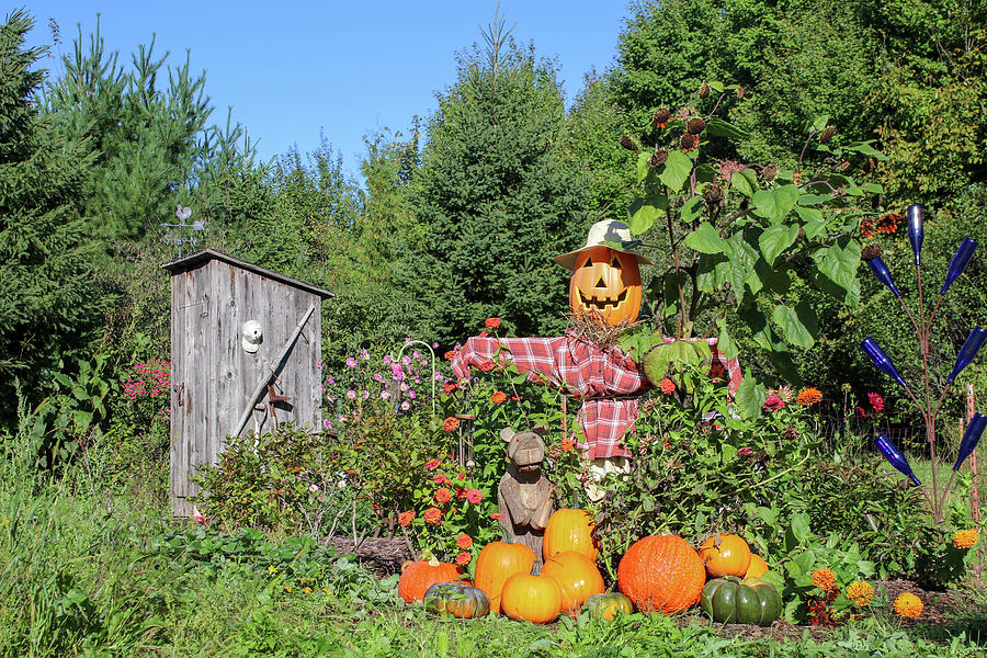 Autumn Scarecrow Photograph by Brook Burling