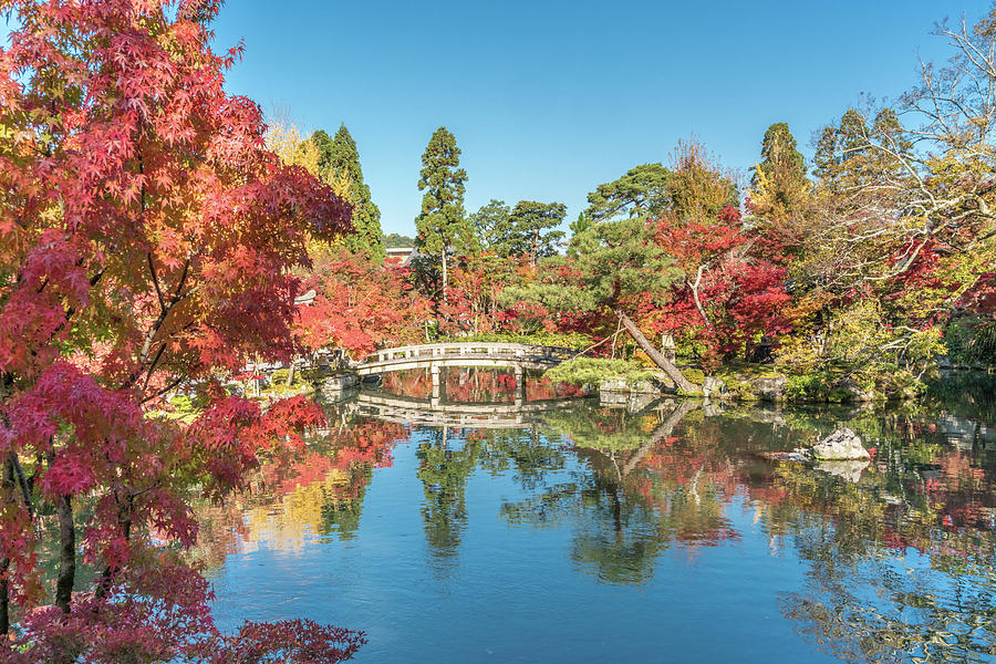 Autumn scene at Eikan-do Zenrin-ji temple. Kyoto, Japan Photograph by ...