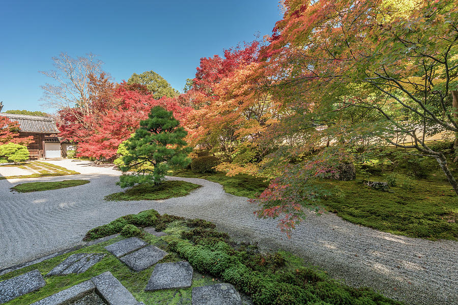 Autumn scene at Tenjuan Temple raked gravel Rock Garden. Kyoto ...