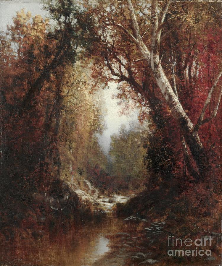 Autumn Scene In The Adirondacks Drawing by Heritage Images