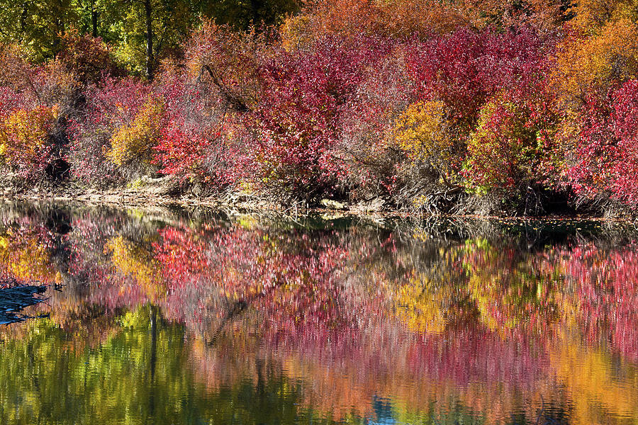 Autumn Scene In The Wenatchee River Area Stock Photo Alamy