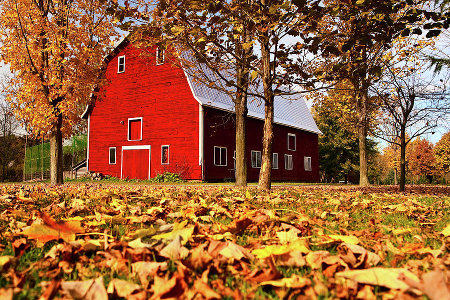 Autumn Scene With Red Barn, Vt Digital Art by Claudia Uripos