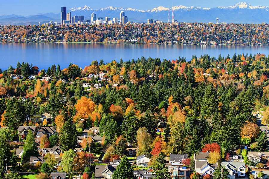 Autumn Scenery, Bellevue Washington Photograph by Feng Wei Photography