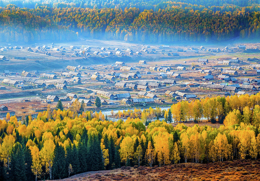 Autumn Scenery, Hemu Village, Xinjiang Photograph by Feng Wei Photography